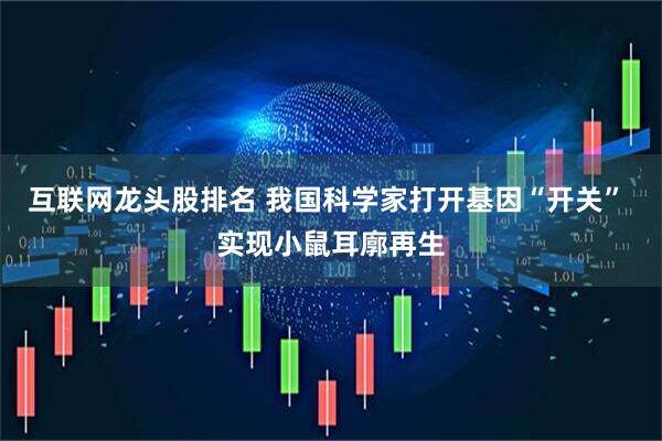 互联网龙头股排名 我国科学家打开基因“开关” 实现小鼠耳廓再生