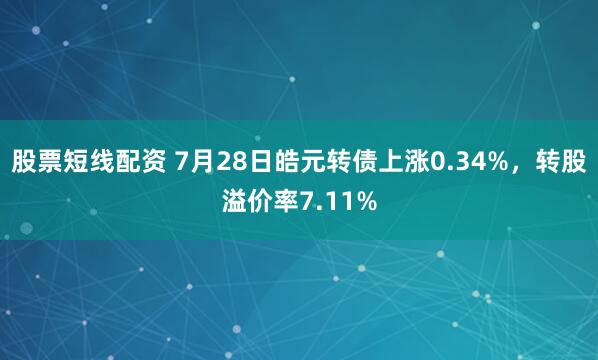 股票短线配资 7月28日皓元转债上涨0.34%，转股溢价率7.11%