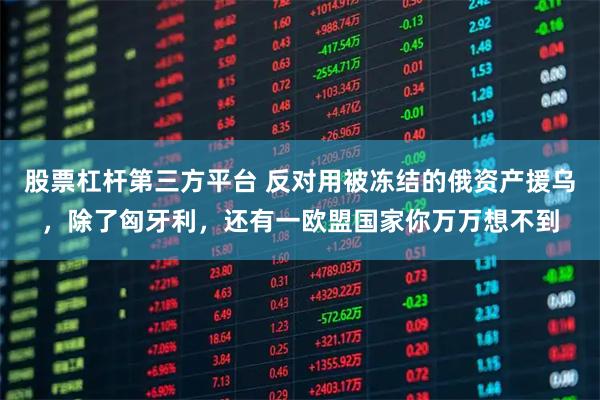 股票杠杆第三方平台 反对用被冻结的俄资产援乌,除了匈牙利,还有一欧盟国家你万万想不到